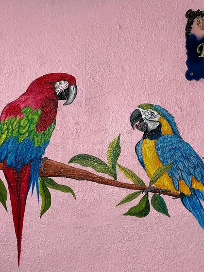 This is a large-scale wall painting I did directly on a client's wall. The artwork features two detailed parrots, a Scarlet Macaw and a Blue-and-gold Macaw, bringing a splash of color and nature indoors.