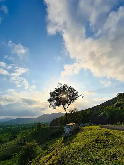 The sun sets behind a lone tree on a hilltop, casting a beautiful silhouette. This image captures a moment of peace and stunning natural beauty in the rural landscape.