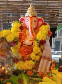 Yoga Instruction & Therapy