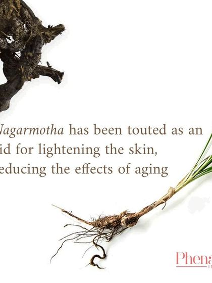 The Goodness of Nature photo 12