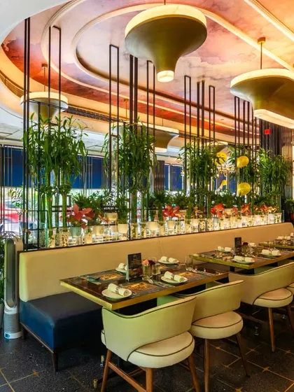 A wide shot of the Havemore restaurant interior, showing my custom-designed ceiling wallpaper and framed artworks working together to create a cohesive, Dilli-themed ambiance.