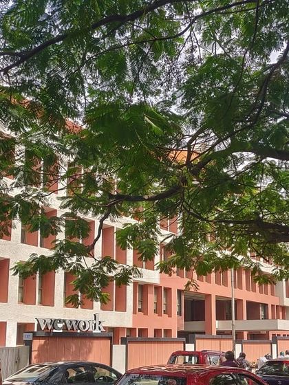 A view of the WeWork building facade reconstruction, seen through the trees.