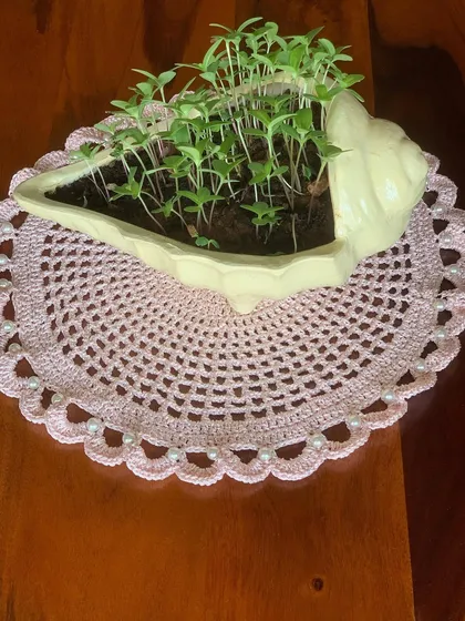 This delicate pink doily with a pearl-laced border shows the finer details I can add to my work. It’s a soft, glamorous piece that’s perfect for a vanity or as a base for a small planter.