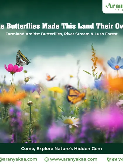 The butterflies have made this land their own. Come and explore this hidden gem, a farmland nestled amidst butterflies, a river stream, and a lush forest.