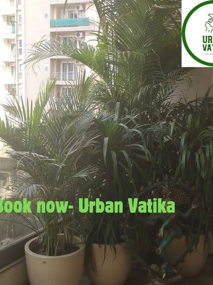 A spacious apartment balcony featuring a mix of large palms and other plants, creating a relaxing outdoor living area.