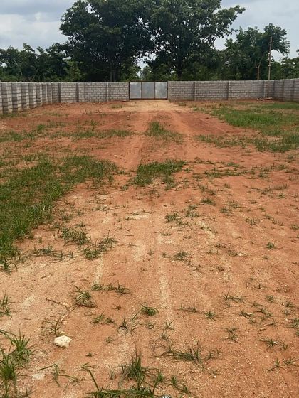 A view of our vast, securely fenced outdoor area, ready for a day of fun. This is where all the running, chasing, and playing happens.