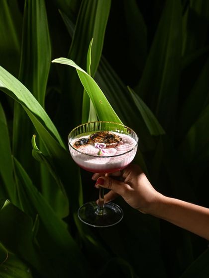 A hand holds a beautiful pink cocktail against a backdrop of lush green leaves. This image perfectly encapsulates our "garden-to-glass" concept, connecting the drink to the nature that surrounds us.