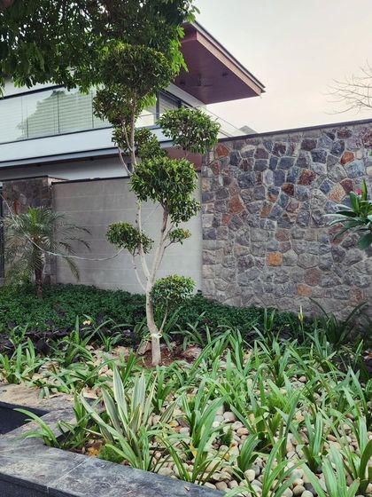 Delhi Gardner - Full-Service Landscaping Large-Scale Landscaping: Commercial & Residential Projects photo 12