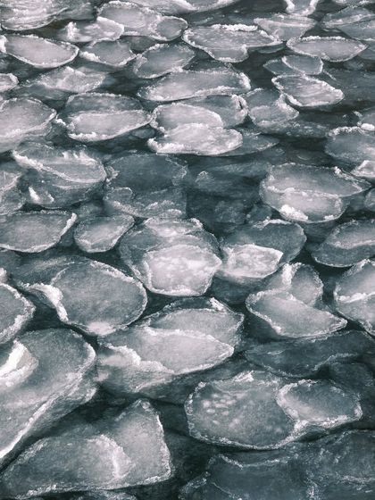 A close-up, abstract photograph of pancake ice on the Hudson River. The repeating shapes create a fascinating natural pattern.