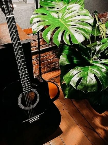 Indoor Plant Styling photo 14