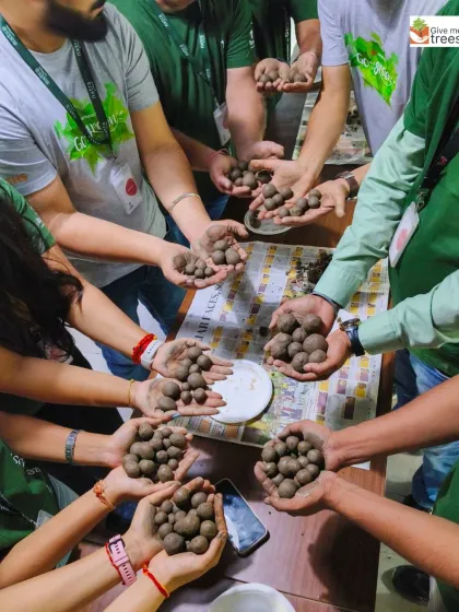 A group of corporate volunteers holds out their hands full of seed balls. Together, they have created hundreds of opportunities for new trees to grow.