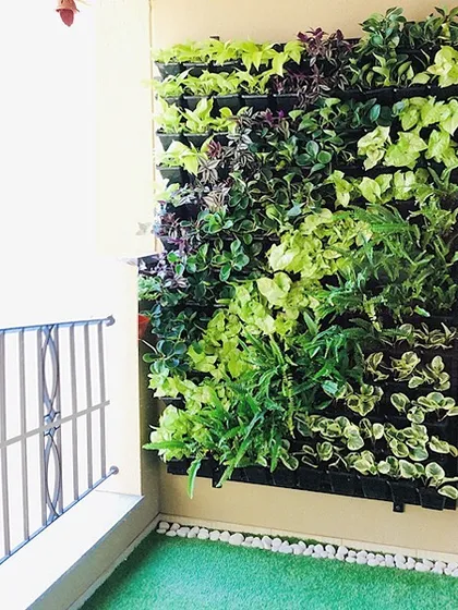 Even a small vertical garden can bring joy to your life. This compact installation on a balcony uses a mix of green and purple foliage to create a beautiful, low-maintenance feature.