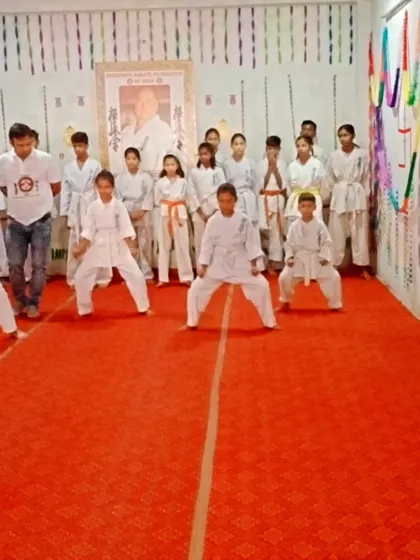 The test begins with basic stances. A strong Kiba Dachi (horse stance) is fundamental.