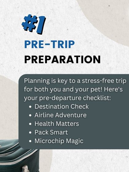 Planning a trip with your pet? Our pre-trip preparation checklist covers everything from destination checks and airline rules to health matters and microchips to ensure a stress-free journey.
