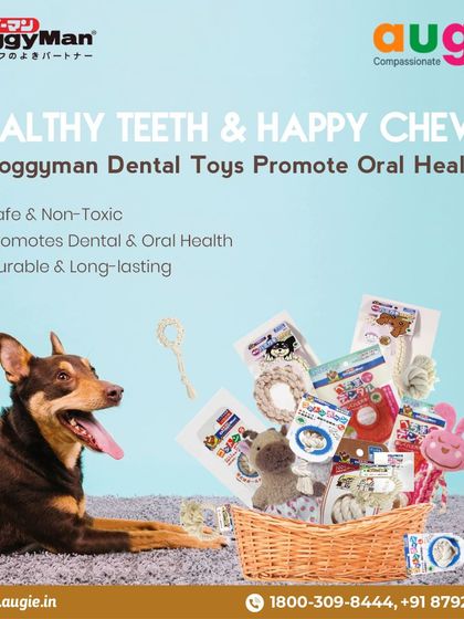 Augie Pets - Pet Supplies Playtime & Cozy Comforts photo 17