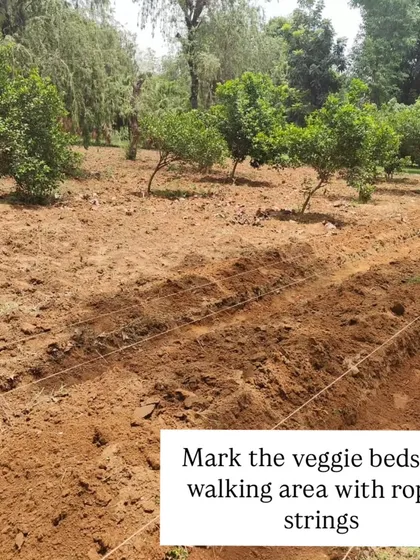 Next, we mark out the veggie beds and walking areas using simple ropes or strings. This ensures a clean, organized layout that is easy to work with and navigate.