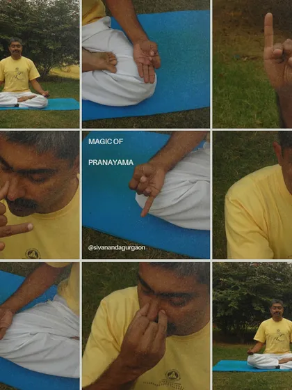 This collage illustrates the hand position, or mudra, for Anuloma Viloma pranayama. Our courses teach the correct technique for these magical breathing practices.