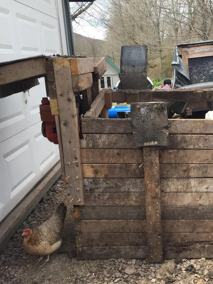The finished sifter stand, with a chicken inspecting the construction. Now all that's left is to test it and see if this design finally works.