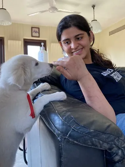 A sweet white puppy learning to take a treat gently from a student's hand during a training course.
