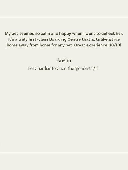 A short and sweet 10/10 review for Coco's stay. We love knowing that she was calm and happy when her family came to collect her.