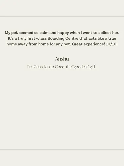 A short and sweet 10/10 review for Coco's stay. We love knowing that she was calm and happy when her family came to collect her.