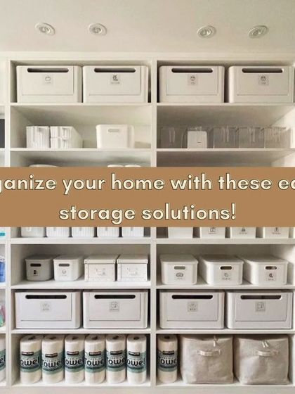 Sort Story by Smriti - Virtual Organizing Consultation Creative Storage Solutions photo 3