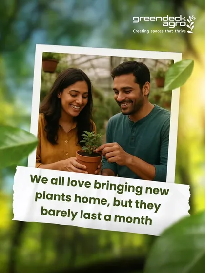 We all love bringing new plants home, but it's frustrating when they barely last a month. This is often due to a lack of consistent, expert care.