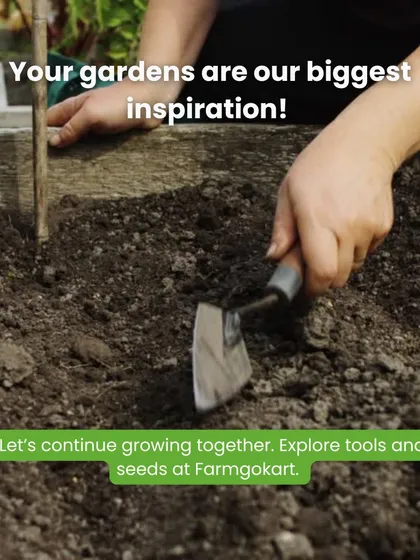 Your gardens are my biggest inspiration. I love seeing what you grow. Let's continue growing together.