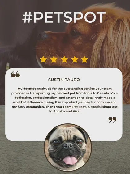 Austin Tauro's review for his pet's transport to Canada mentions my team's dedication, professionalism, and attention to detail. I'm so grateful for his special shout-out.
