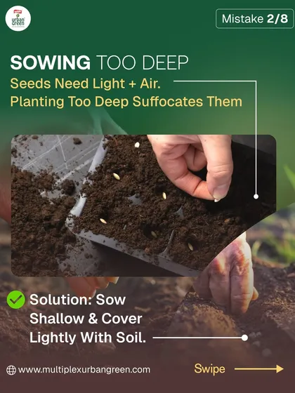 We want to make gardening easy for everyone. One common mistake beginners make is sowing seeds too deep, which suffocates them. The solution is to sow them shallowly and cover them lightly with soil to ensure they get the light and air they need to sprout.
