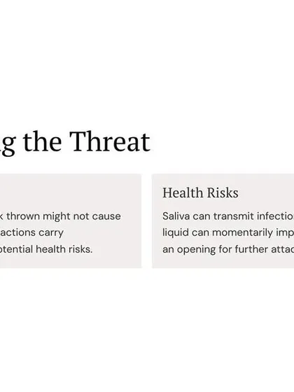 Understand the threat. Spitting carries health risks, and a splash of liquid can impair your vision, creating an opening for a physical attack. It's a form of psychological aggression.