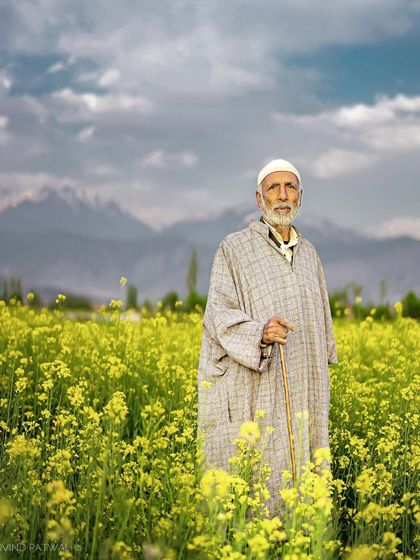 An elderly man in traditional Kashmiri attire stands in a field of yellow mustard flowers. This environmental portrait captures the serene beauty of Kashmir and its people.