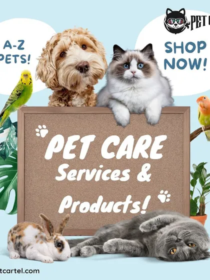 My services cover everything your pet might need. From dogs and cats to birds and bunnies, I offer a complete range of pet care services and products, including professional mobile grooming, to keep them happy and healthy.