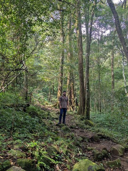 A solo trekker standing amidst the dense, green foliage of the Kumara Parvatha trail.