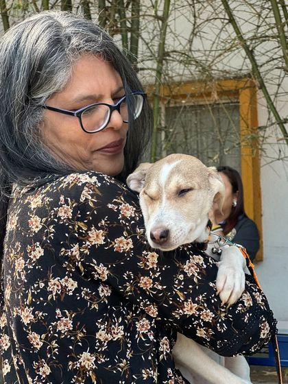 Oh My Dawg - Animal Welfare & Adoption Services Our Adoption Drives photo 9