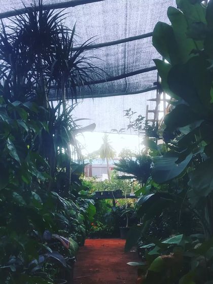 A Glimpse of Our Nursery photo 8