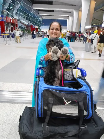 Paws up for a new adventure! Daisy is excited to be heading to Canada with her mom. I handle the entire check-in process to make it stress-free for both pet and parent.