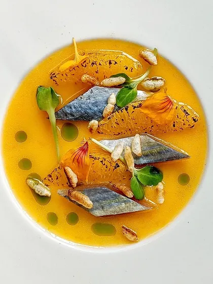 A delicate dish of cured mackerel with orange segments and puffed rice in a citrusy broth. A light and refreshing starter.