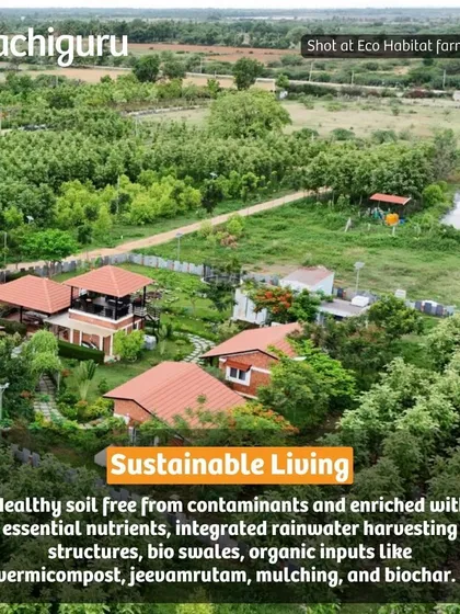 This is not just a plot of land, it's a fully-formed ecosystem. An aerial view of our Eco Habitat farms shows how we design communities with integrated rainwater harvesting, diverse food forests, and homes nestled in nature.