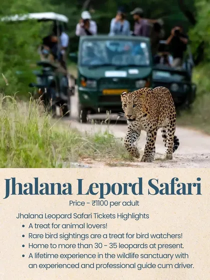 Go where the wild things are. Our Jhalana Leopard Safari in Jaipur offers a thrilling chance to see these magnificent cats in their natural habitat. It's an unforgettable experience for any animal lover.