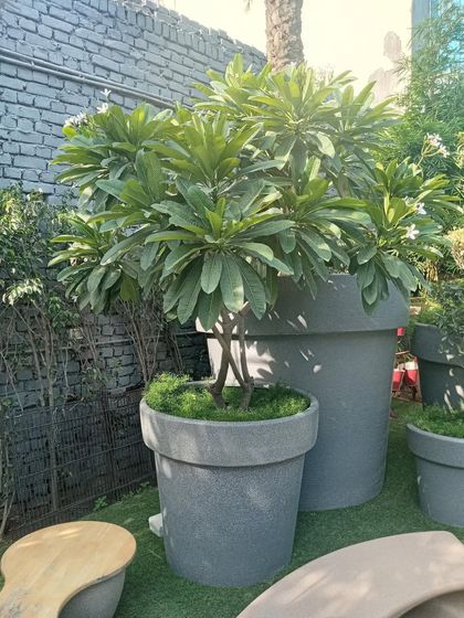 Planting & Horticulture Services photo 4