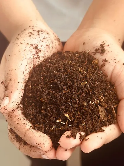 This is the result of responsible waste management: rich, nutrient-dense compost, often called 'black gold'. It's the reward for your efforts, ready to nourish your gardens and bring life back to the soil.