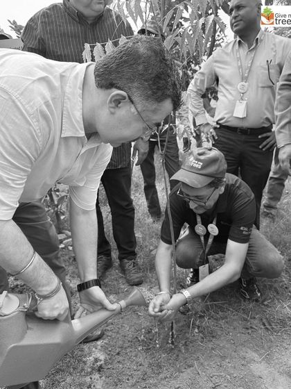 These images showcase individual employees from EXL, Marsh, Amdocs, Telus, HCL, and Northern Trust deeply engaged in the act of planting. Each photo captures a personal moment of connection with nature, showing the focus and care that our corporate volunteers bring to these drives.