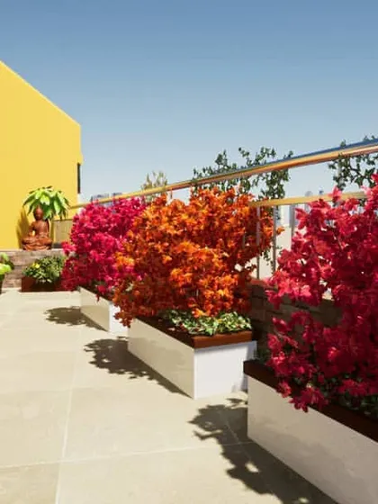 Color can completely change the feel of a space. On this sunny terrace, I used vibrant bougainvillea in modern white planters to create a bold and cheerful atmosphere that makes you feel like you are on a permanent vacation.