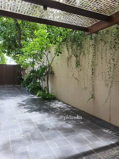 A wall of cascading vines creates a living tapestry of green in this courtyard. A patterned pergola above casts dynamic shadows, adding another layer of interest to the space.