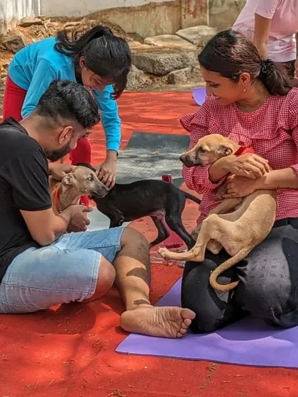 A couple enjoys a moment together during puppy yoga, each holding a small pup and smiling at each other.