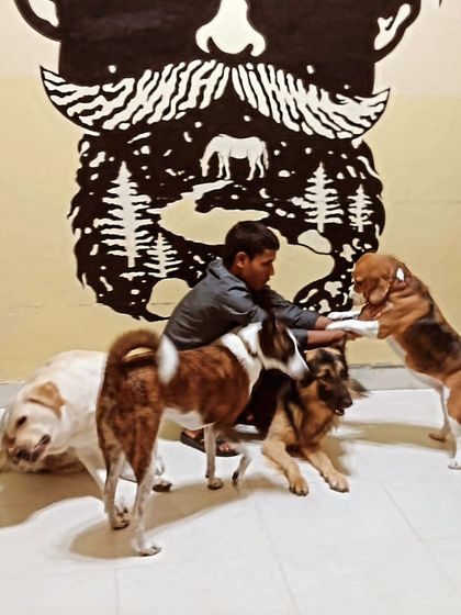 Time for some fun again. The indoor playroom is always full of laughter and wagging tails.