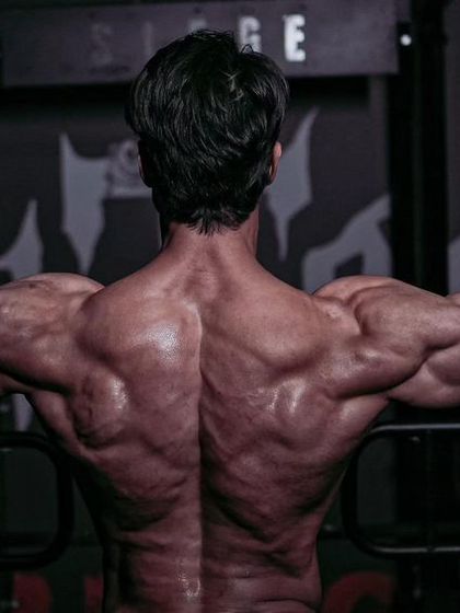 Anupam Adarsh Mishra - Strength and Physique Coaching The Aesthetic Blueprint photo 88