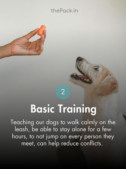 The Pack - Pet Parent Education & Workshops Awaara Nahi, Humara Hai: Community Dog Advocacy photo 65