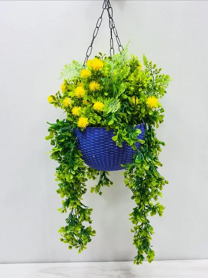 A cheerful hanging basket with bright yellow pom-pom flowers and lush green trailers, perfect for adding a sunny touch.